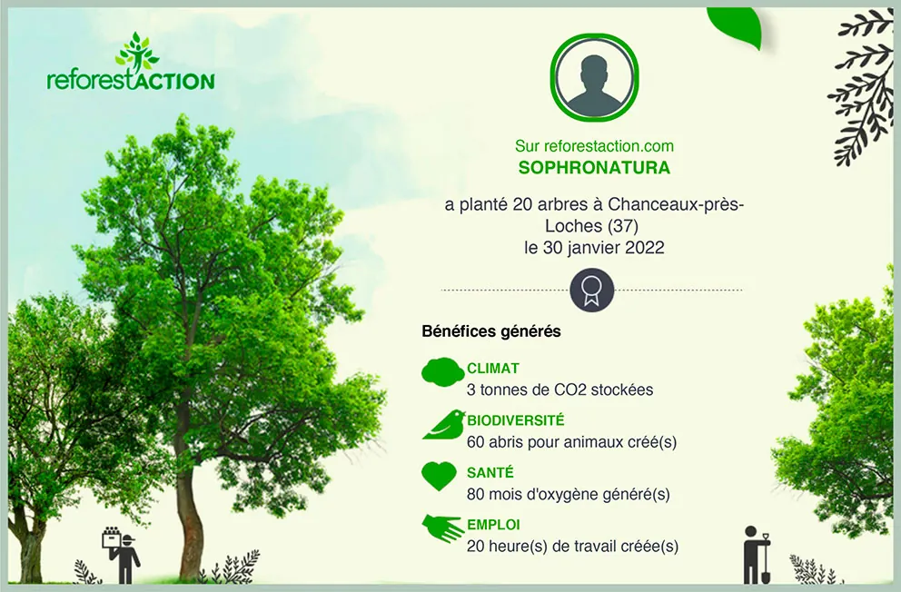 Certificat Reforest'Action : SophroNatura a planté 20 arbres à Chanceaux-près-Loches (37)