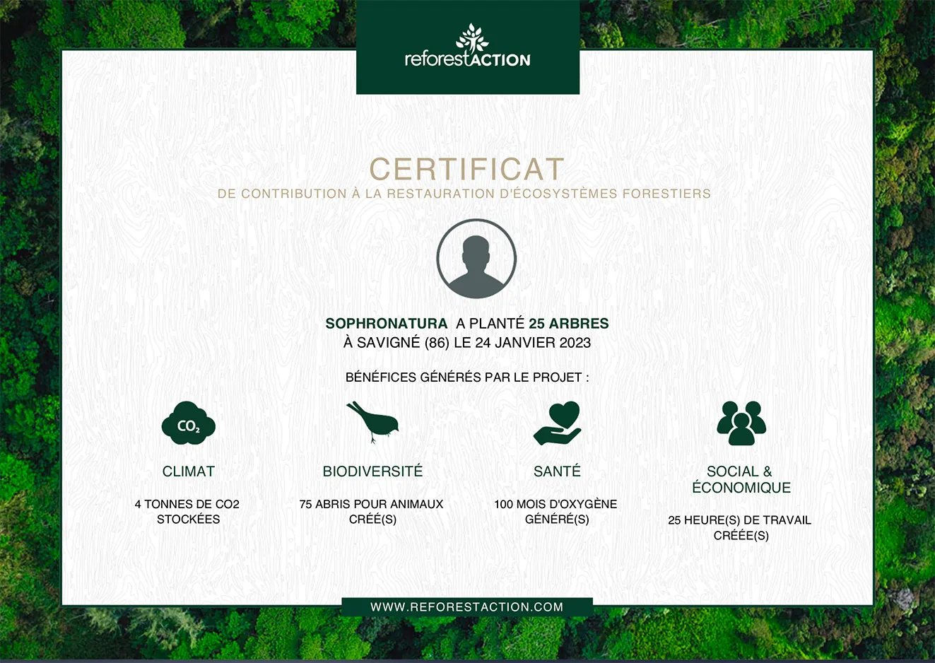 Certificat Reforest'Action : SophroNatura a planté 25 arbres à Savigné (86) en janvier 2023